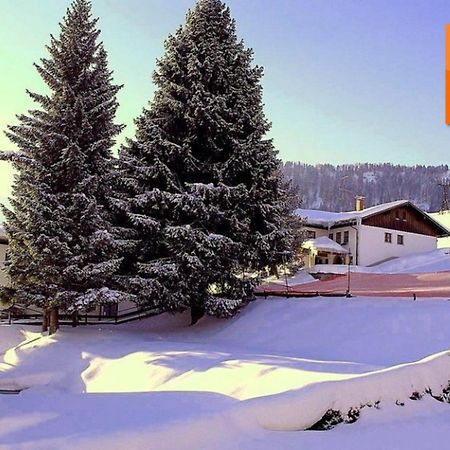 Appartement Nr 19, Alpenappartementhaus, Oberstaufen-Steibis, Allgaeu, Oberstaufen Plus Экстерьер фото