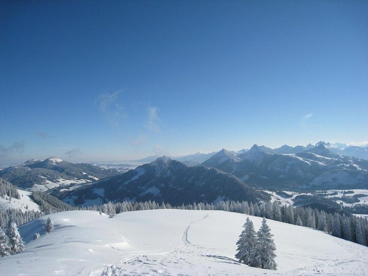 Appartement Nr 19, Alpenappartementhaus, Oberstaufen-Steibis, Allgaeu, Oberstaufen Plus Экстерьер фото